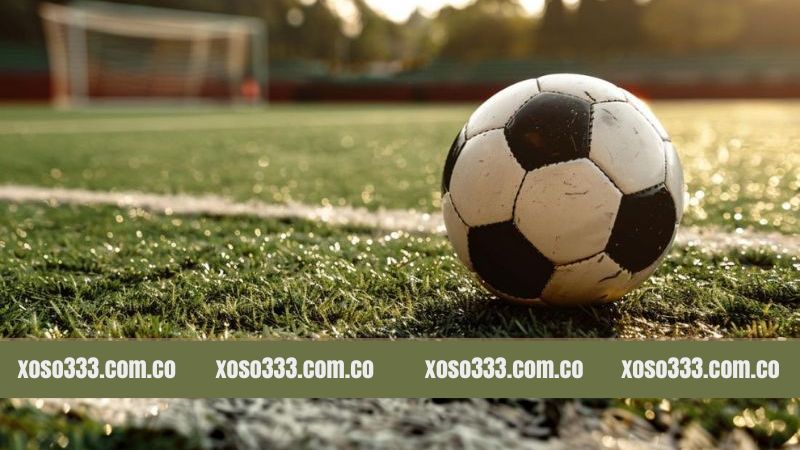 Kèo Đồng Banh - Lựa Chọn Cá Cược Bóng Đá Nổi Bật Tại Xoso333 3 Hướng dẫn đọc kèo đồng banh chi tiết tại Xoso333