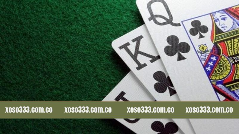 Sơ lược về bài 3 cây thu hút hội viên