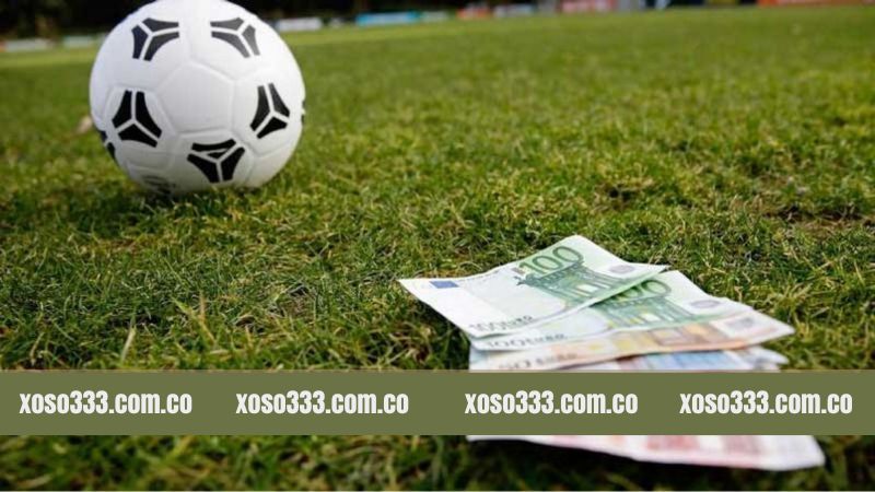 Theo dõi phong độ từng đội trước khi xuống tiền