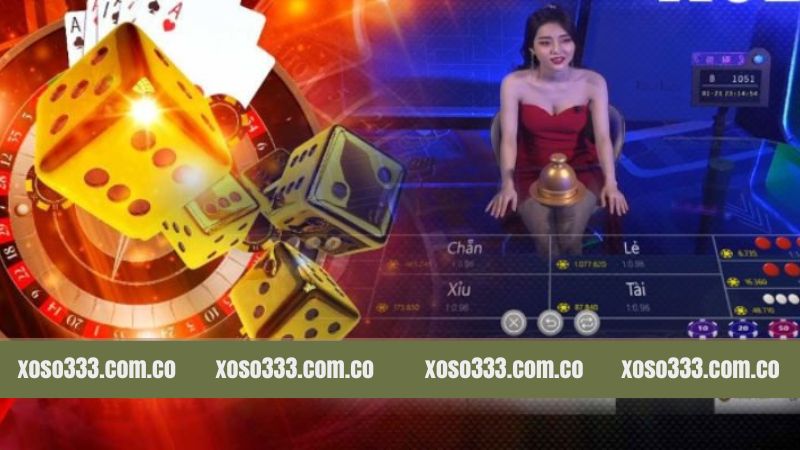 Xóc Đĩa Trực Tuyến - Thắng Lớn Mỗi Ngày Tại Xoso333 3 Tập hợp các thuật ngữ trong xóc đĩa trực tuyến