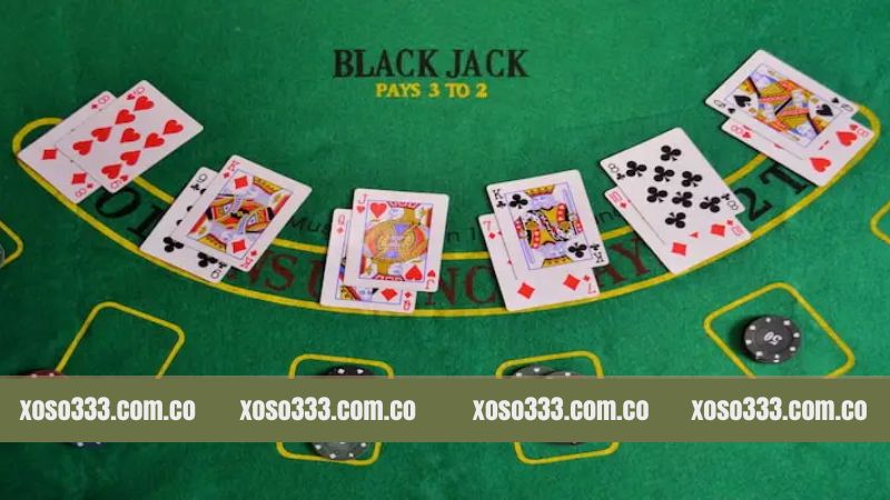Mẹo chơi Blackjack được cao thủ tiết lộ 